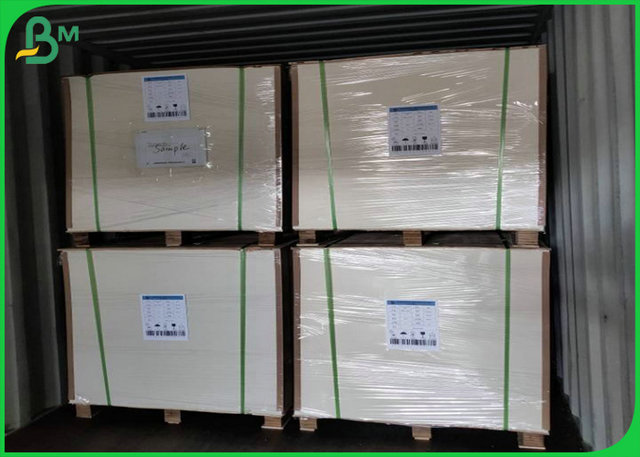 300gsm White FBB Board Coated PE Material For Greaseproof Lunch Box Making 