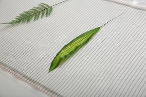 China High Toughness Carbon Heating Film , 300W Underfloor Heating For Laminate Flooring Reviews wholesale