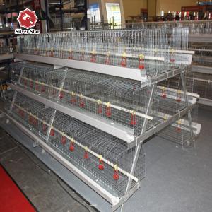 China 13 Chicks/Cell 61*50cm Broody Hen Cage Galvanized Steel Manure Cleaning wholesale