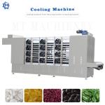 250kg/H Fortified Rice Manufacturing Machine MT 70 75