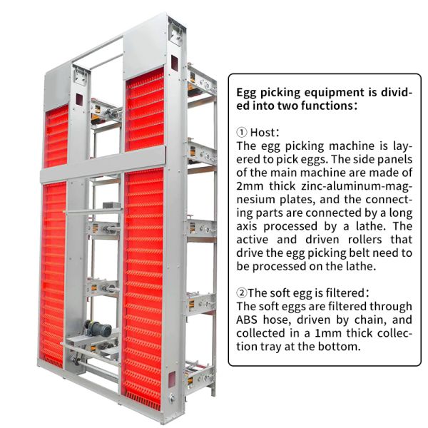 H Type 20000 Capacity Battery Layer Egg Chicken Cage with Automatic Cleaning Belt and Egg Collection System and Feeding System