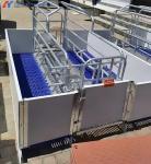 Steel Piggery House Onsite Installation Chicken Shed Construction