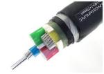Underground Low Voltage Electrical Cable XLPE PVC Polyethylene Insulated Wire