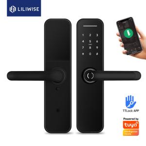 China OEM Remote Control Smart Lock Home Security Fingerprint Biometric Door Lock wholesale