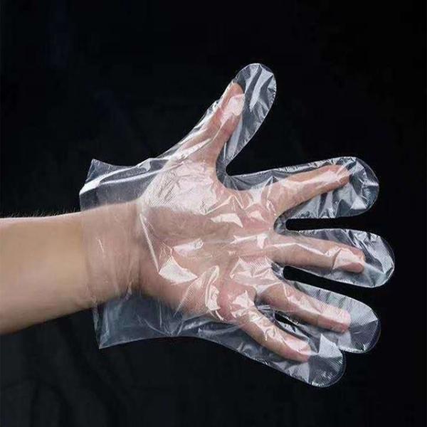 Plastic Polythene PE Disposable Medical Gloves Food Safe Universal Size Eco