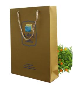 China Hot Stamp 230gsm UV Logo Paper Carrier Bag Matt Lamination for advertising wholesale