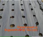 Perforated plastic mulch film save drilling troubles,perforated agricultural