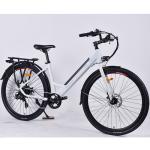 26in Pedal Assist Cargo Bike 30-40km Range Multipattern 0.25KW