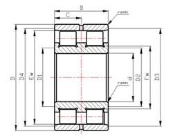 China SL series roller bearings SL0249 Series Cylindrical Roller Bearings SL024938 wholesale