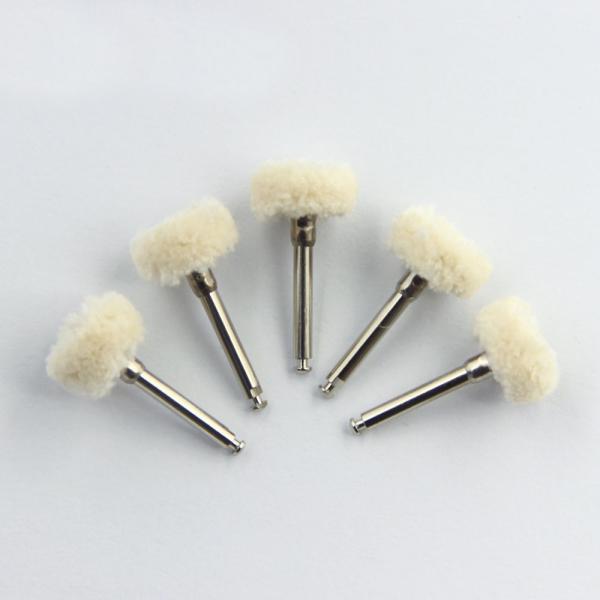 Polishing At Home Prophy Brush Dentist Lab Soft Goat Hair Disc Wheel Shape Latch