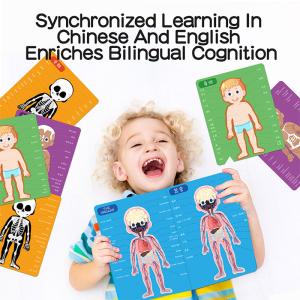 China Children Education Magnetic Jigsaw Puzzle For Human Body Cognition wholesale