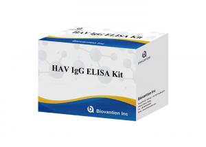 China HAV IgG Elisa Kit Antibody Diagnostic Kit For Hepatitis A Virus wholesale