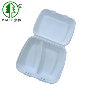 China 9inch X 7inch Bagasse Clamshell Box 2 Compartments Eco Friendly Clamshell Packaging wholesale