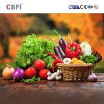 CBFI SUS304 Spiral Quick Freezer Frozen Noodles And Pastries