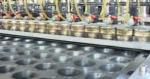 Tiramisu Cake production line Russia Tiramisu cake Manufacturing Equipment /