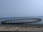 Wind Resistance Aquaculture HDPE Fish Cages For Deep Sea Offshore
