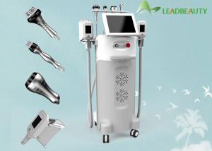 China 2016 Factory Promotion 5 Handles Multifunctional Fat Freezy machine wholesale