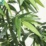 Home Office Artificial Bonsai Tree , Isolation Aisle Decoration Fake Bamboo