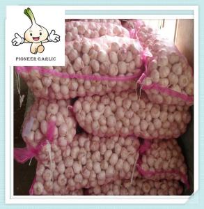 China pure white garlic New crop fresh garlic for sale natural garlic wholesale