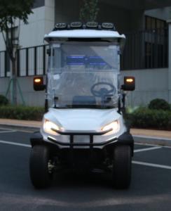 China High Degree Electric Golf Cart E 3 Wheel 4 Wheel Drive Lifted Street Legal Club Golf Cart Roof wholesale