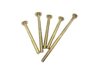 China H59 H62 Yellow Brass Bronze Carriage Bolt Coach Bolt Copper Round Head Square Neck DIN603 wholesale