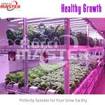 36W 660nm Vegetable LED Grow Lights 2.9μmol/J For Vegetative Blooming