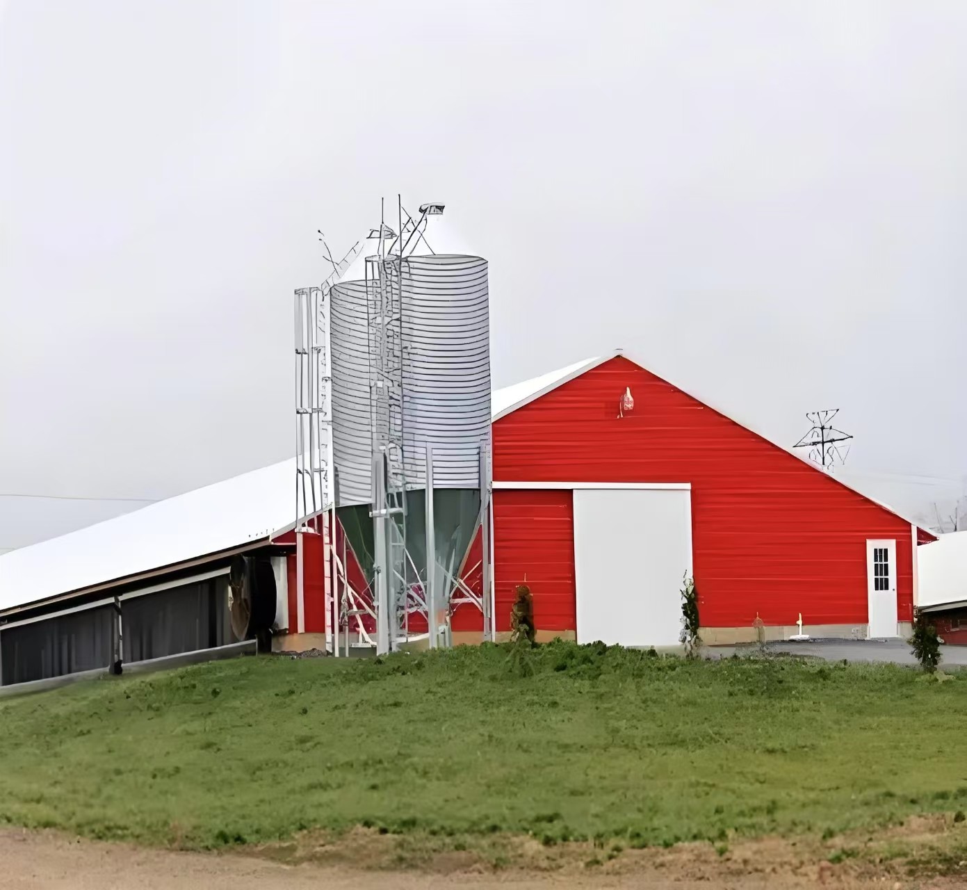 Easy Install Prefabricated Steel Frame Houses Fully Automated Chicken Farming Equipment