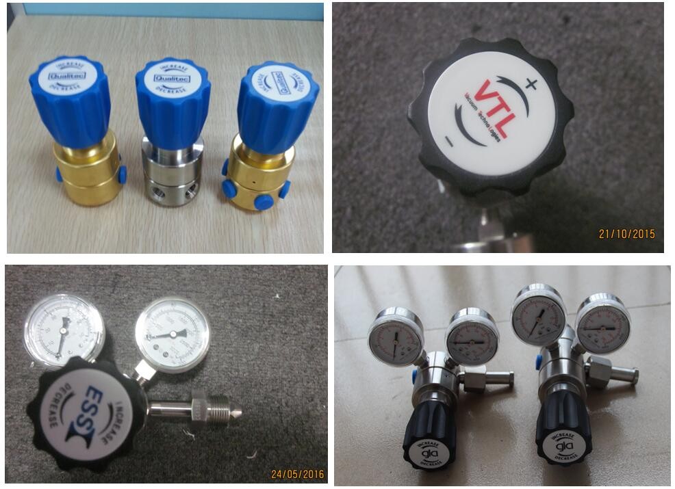 Panel Mounted Stainless Steel Union Single Stage Gas Pressure Regulator 100 psi