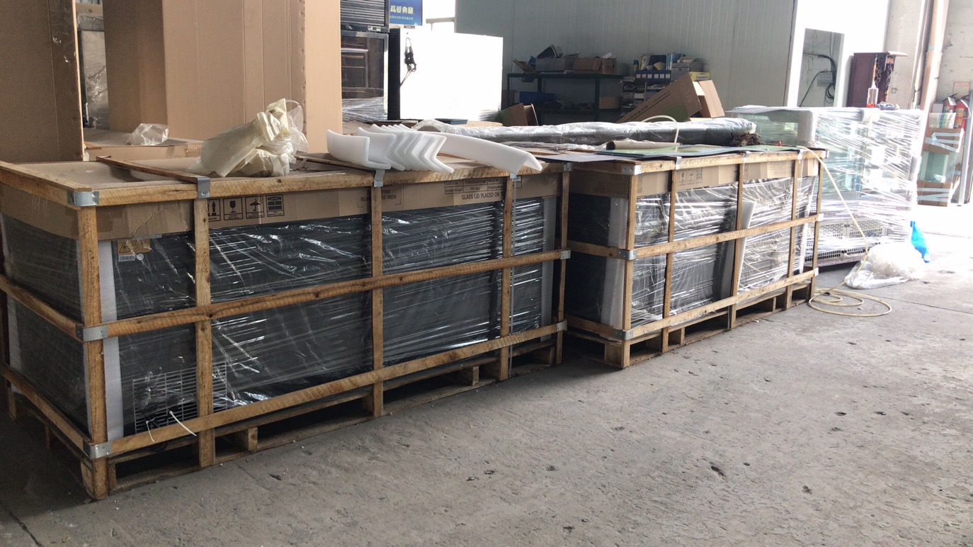 220V-240V Supermarket Display Freezer Multipurpose Painted Steel Material