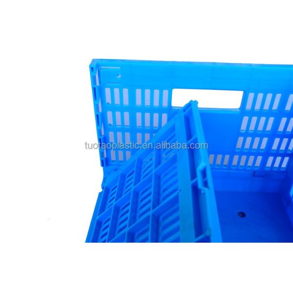 Customized Logo Blue Egg Storage Box Refrigerator for Modern Chicken Grid Drawer Type