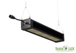 China Full Spectrum ETL Listed Hydroponics 320w LED Grow Lights wholesale