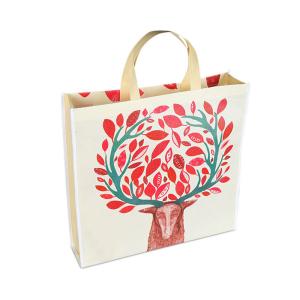China Anti Bacterial PP Laminated Non Woven Handle Bag Anti Shrink Customized Non Woven Bag wholesale