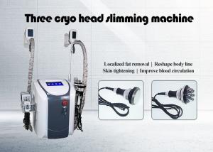 China Slimming Body Fat Removal Criolipolisis machine wholesale