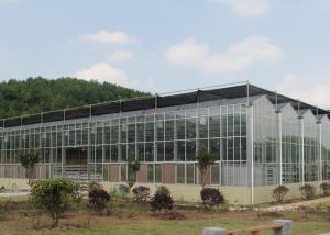 China 6 mm PC Sheet Greenhouse Multi Span Stainless Steel / Aluminum Profile wholesale