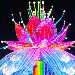 Exhibition Chinese Flower Lantern Arts Mechanical Design / Graphic Design