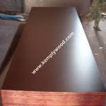Two times hot press combi core 15times usage brown film faced plywood,two times