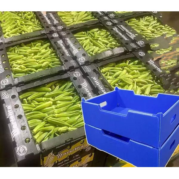 Impact Resistant Plastic Shipping Box Reusable Vegetable Shipping Boxes Lightweight
