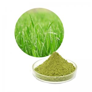 China 100% Pure Barley Grass Extract Powder Anti Fatigue wholesale