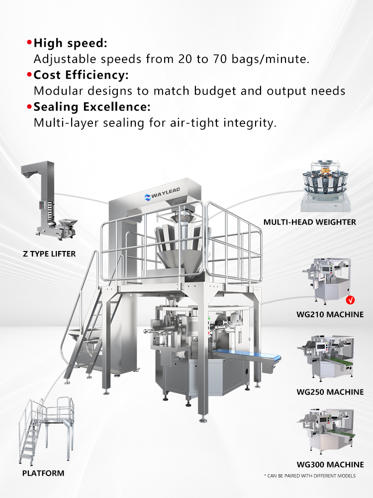 Dual-Servo Bag Packer – Pre-made/Zipper/Stand-up, Vacuum+Coder