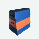 Octagon Gymnastics Mats Kids Sports Entertainment Soft Training Vaulting Horse