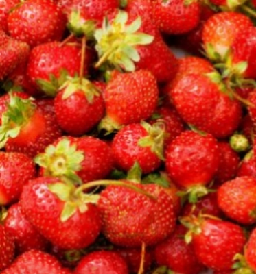 Revolutionary Farms Freeze Drying Equipment for Freeze Dried Fruit Meat and Vegetables