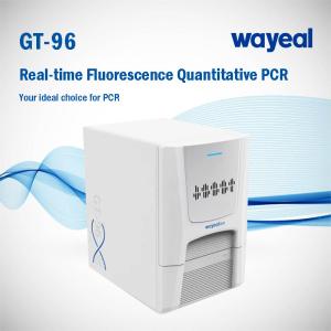 China Wayeal 96 Wells 5 Channels PCR Analyzer For Gene Test wholesale