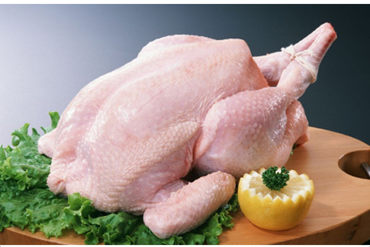 Chicken Feather Plucker Poultry Feather Processing Equipment 590 x 600 x 900 mm