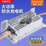 Safety Protection 12V/14.6V/12.6V 5A 6A 8A 10A Charger for Multi-Protection 3S