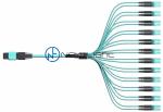 1300nm 24 Fiber MPO MTP Cable Male Or Female insertion loss 0.5dB
