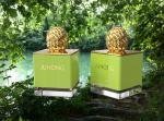 Stunning High-End Zamak Perfume Caps Zinc Bottle New Design Perfume Cap