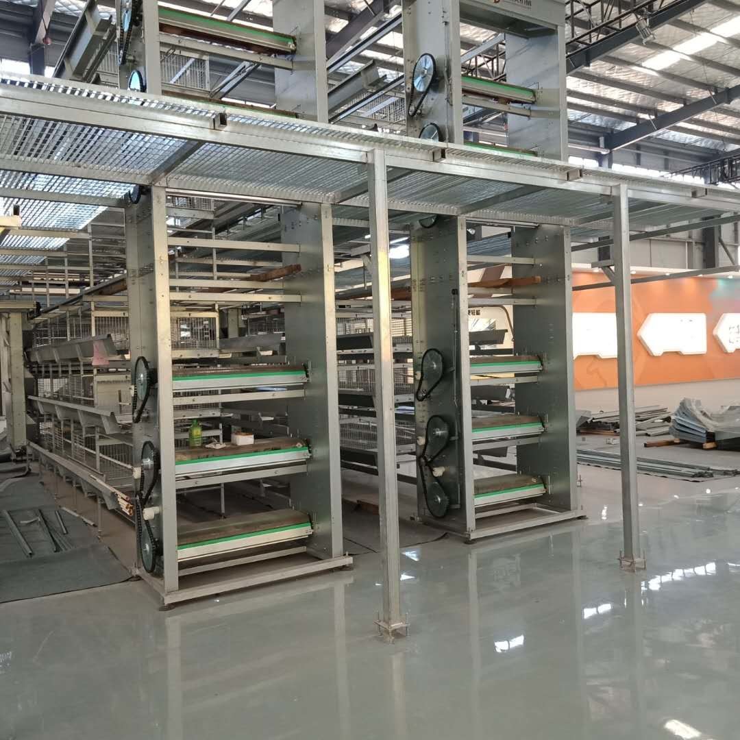 Mechanical Livestock Farming Equipment , Manure Removal Battery Cage System