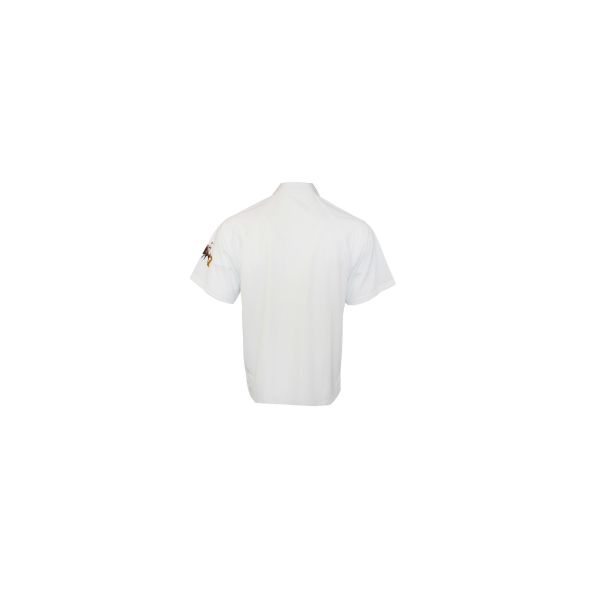 100% Polyester T-SHIRT & POLO Short Sleeve Men Sublimation Printing