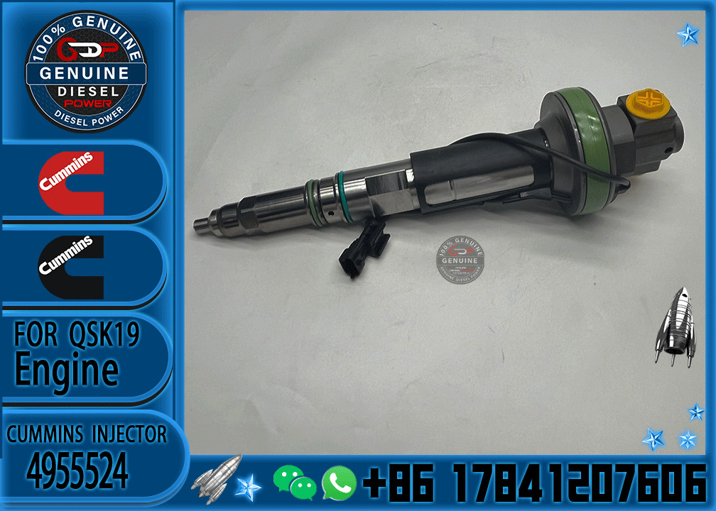 4964170 Diesel QSK19 Engine Common Rail Fuel Injector 4955524 2867149 4955527 2882079 4964173