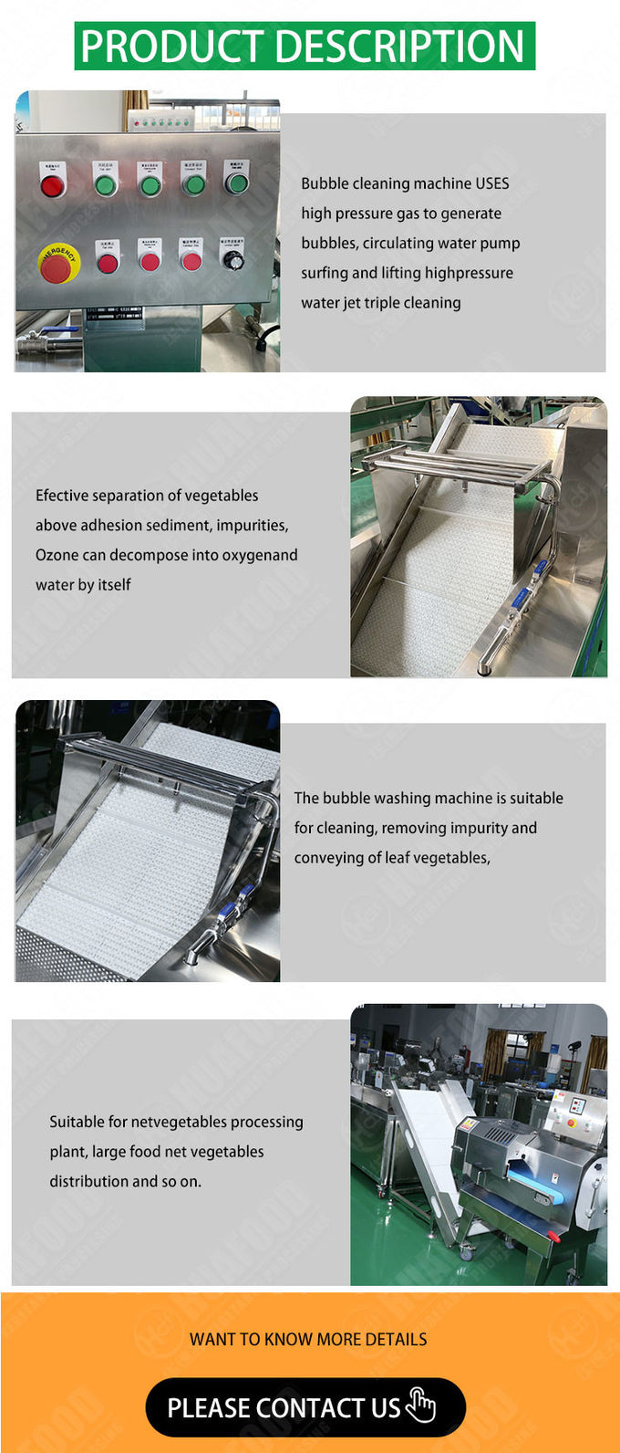 High Efficiency Sterilization And Vegetable Washing Machine